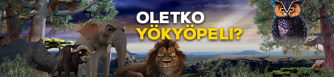 Meteoriitit odottavat