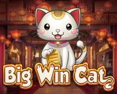 Icon of 
                            Big Win Cat
