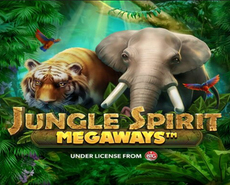 Icon of 
                            Jungle Spirit Megaways Buy Feature