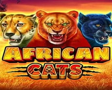 Icon of 
                            African Cats
