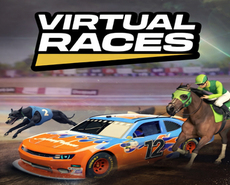 Icon of 
                            Virtual Races
