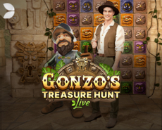Gonzo's Treasure Hunt  