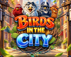 Icon of Birds in The City