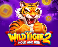 Icon of Wild Tiger 2