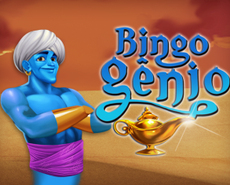Icon of 
                            Bingo Gênio