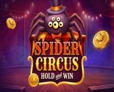 Icon of Spider Circus Hold and Win
