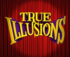 Icon of 
                            True Illusions