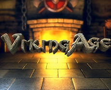 Icon of 
                            Viking Age