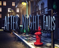 Icon of 
                            After Night Falls