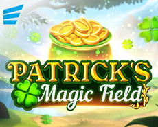 Icon of 
                            St. Patrick's Magic Field