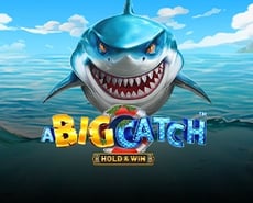Icon of 
                            A Big Catch: Hold & Win
