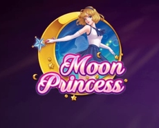 Icon of Moon Princess