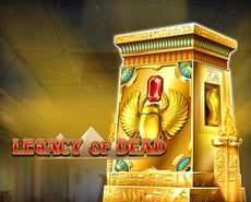 Icon of 
                            Legacy of Dead