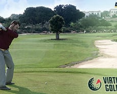 Icon of 
                            Virtual Golf