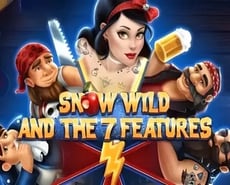 Icon of Snow Wild And The 7 Features