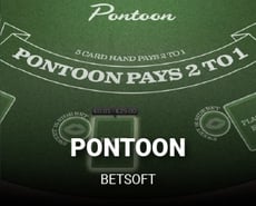 Icon of Pontoon