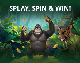 Play, Spin & Win!