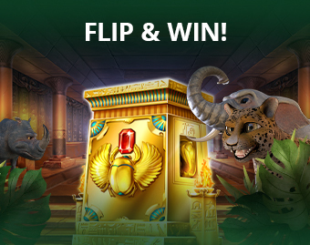 Flip & Win!
